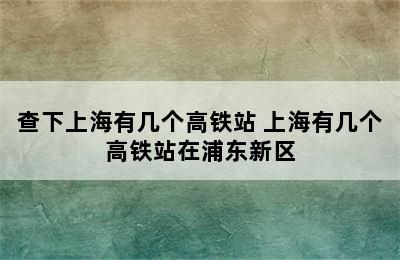 查下上海有几个高铁站 上海有几个高铁站在浦东新区